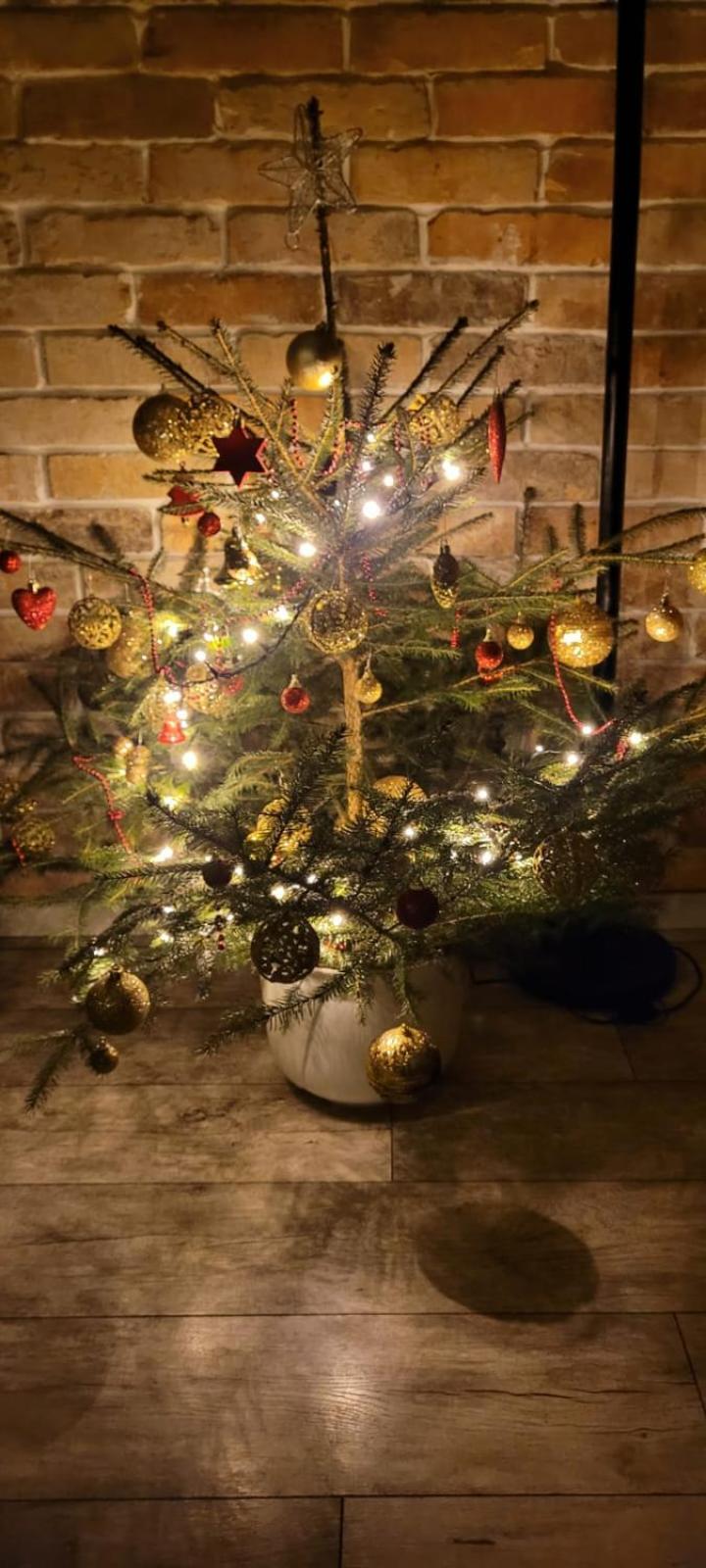 Domek Na Pagorku Lwowek Slaski Exterior foto